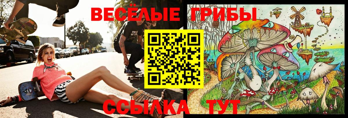 Галлюциногенные грибы ЛСД Новосибирск